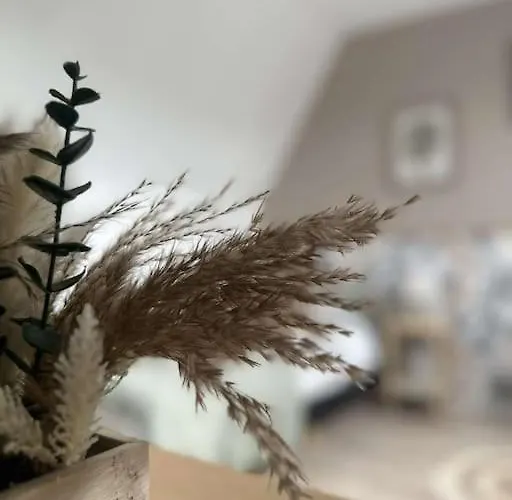 Beau Hébergement de vacances *